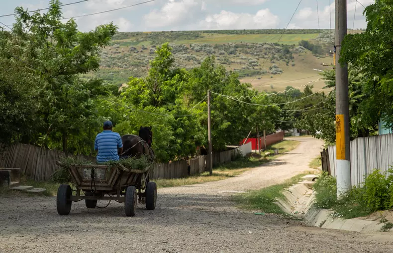 Pogonești