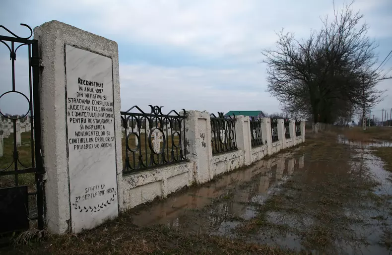 sarja de la prunaru (19)