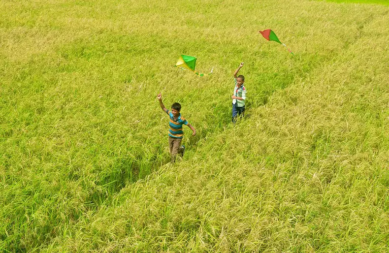 Copii cu zmeie / Foto: @mdshafiulislam, Bangladesh