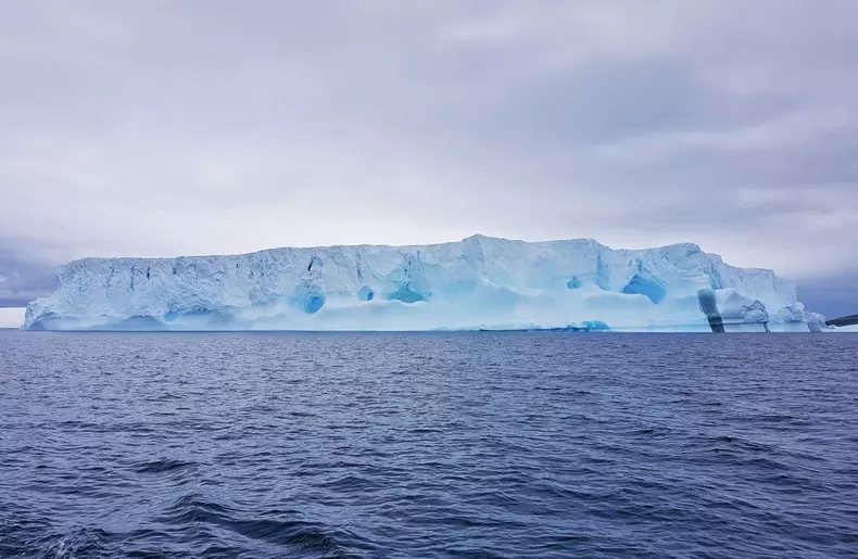 51804043_1981270265275235_1425451992880250880_o