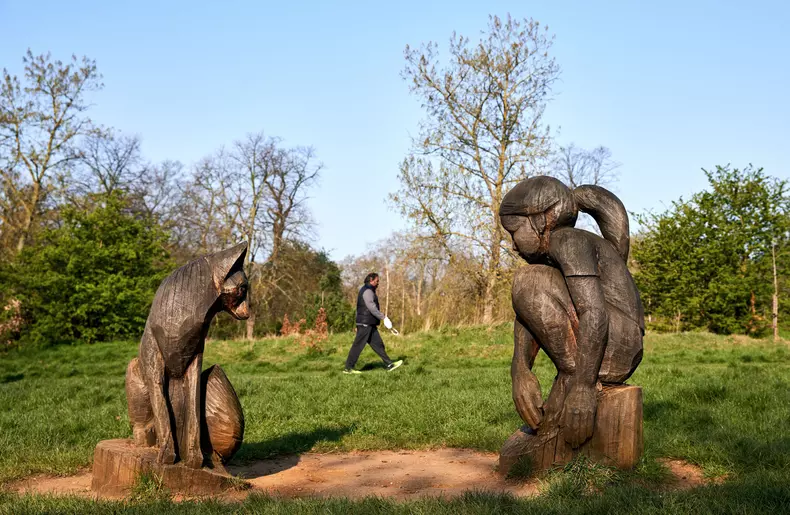 galerie foto natura izolare coronavirus