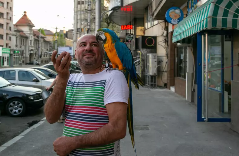 Dorian si papagalul Miayko (1)