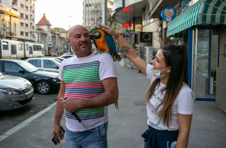 Dorian si papagalul Miayko (2)