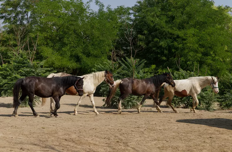 Foto: Vlad Chirea / Libertatea