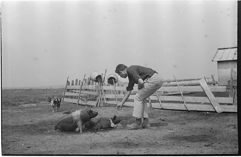 Fotografii de Ioan Matei Agapi, din arhiva sa