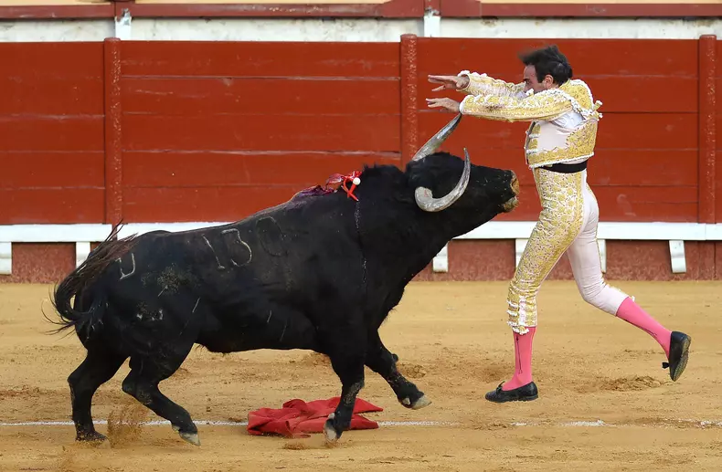 matador Enrique Ponce Profimedia (2)