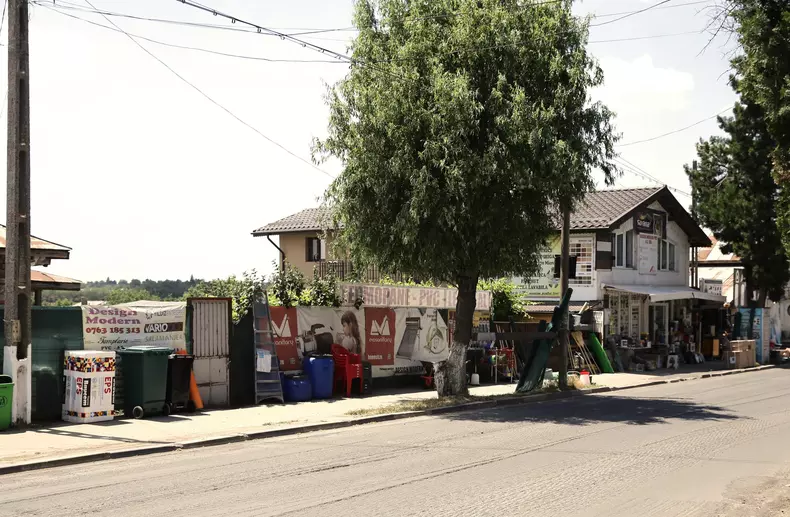 mitus-unguri-in-videle-14