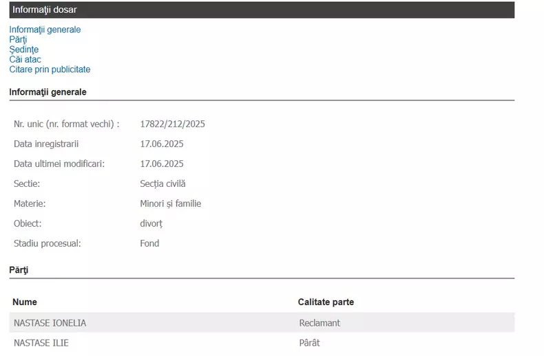 Ilie Năstase divorț Ioana