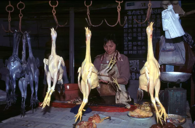 Piață ilegală de animale în Wuhan