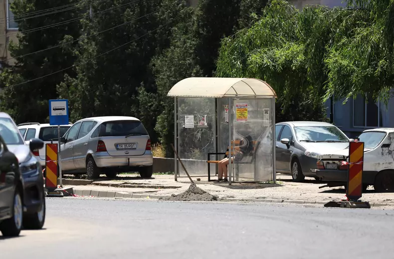 mitus-unguri-in-videle-6