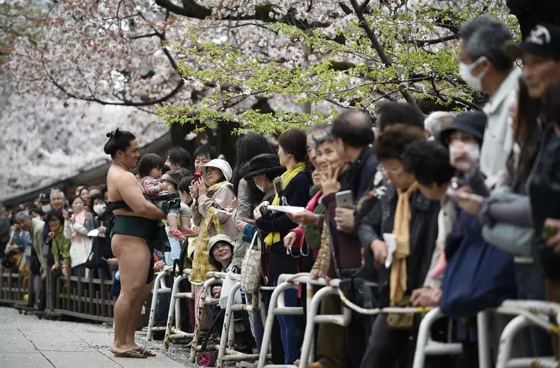 07-sumo-EPA.jpg