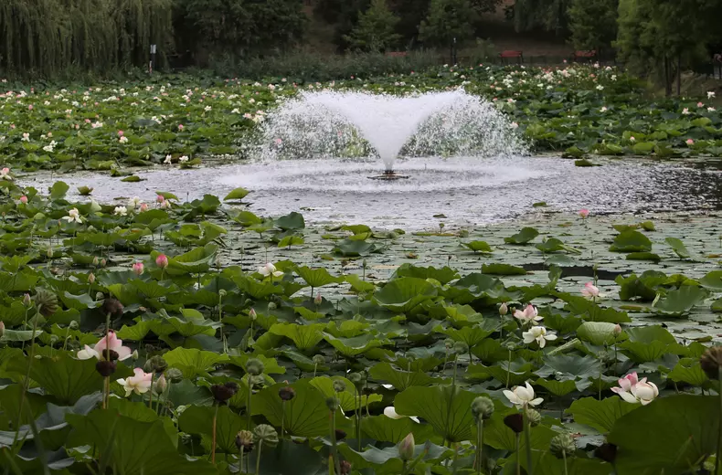 Lacul Circului