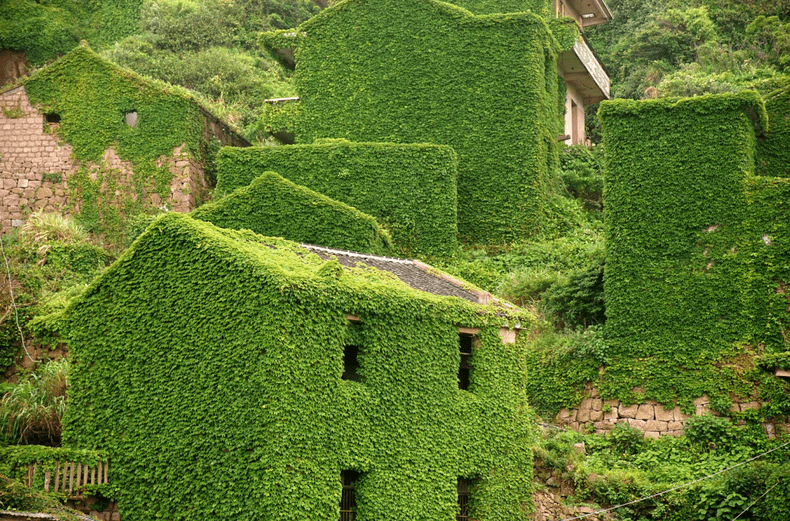 Satul pescăresc abandonat din China, situat pe insula Gouqi-5