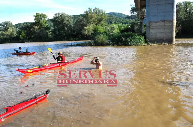 Avram Iancu traversează Dunărea înot (4)