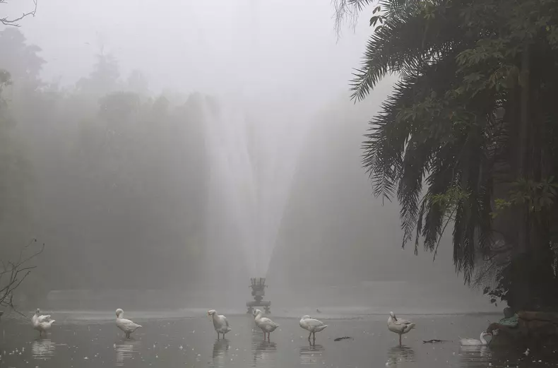 New Delhi struggles with heavily polluted air