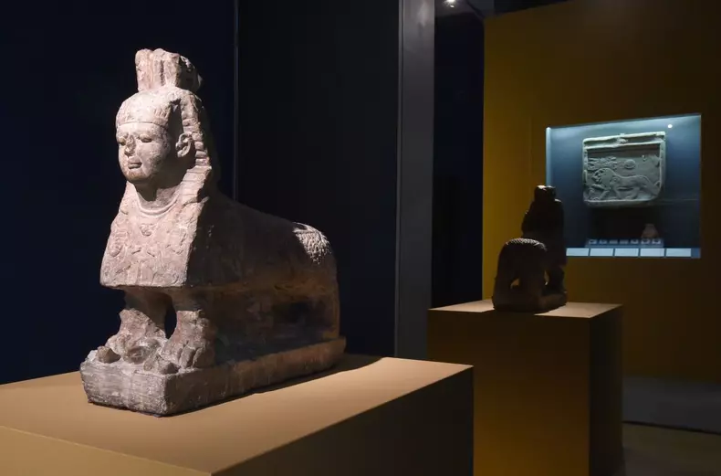Special exhibition at Roemer- und Pelizaeus-Museum