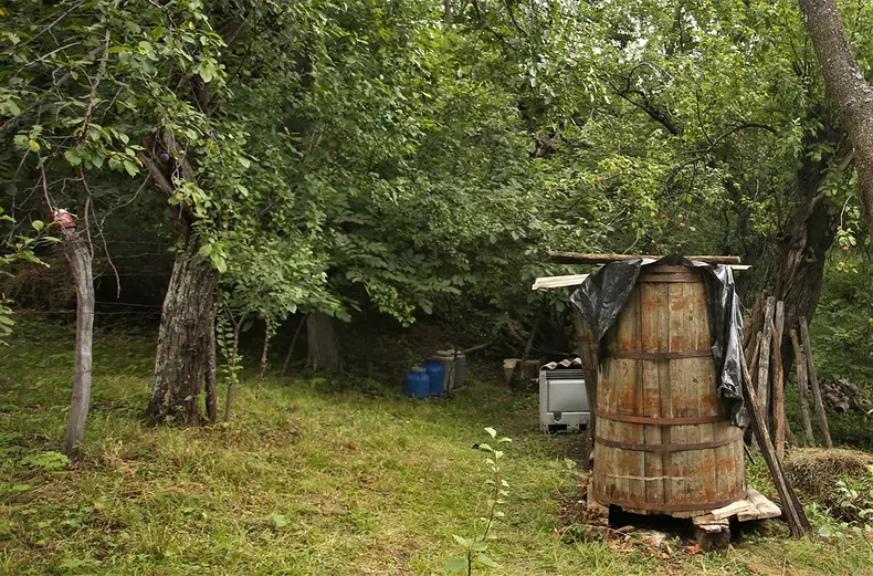 sat-parasit-dumitru-angelescu-img3519