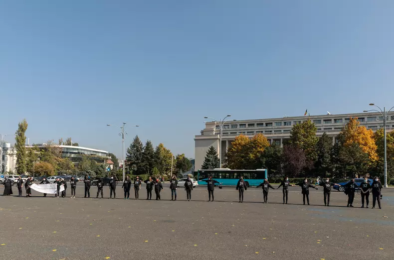 protest violenta domestica vlad chirea