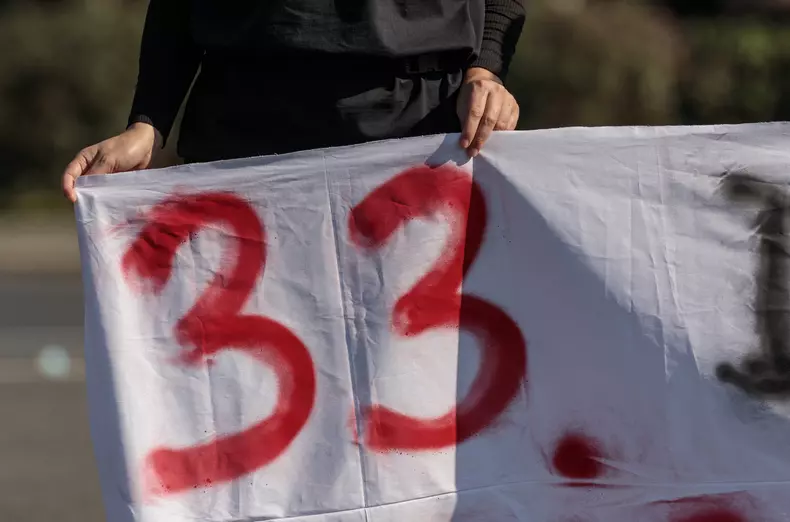 protest violenta domestica vlad chirea