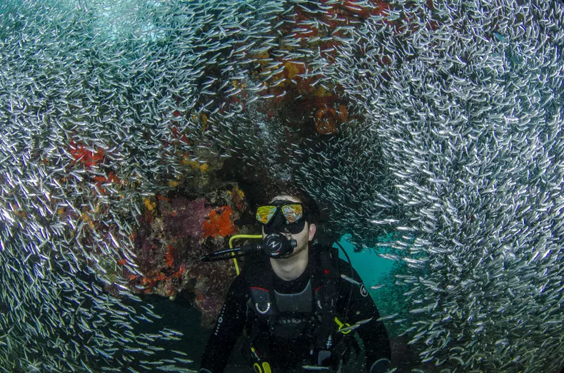 tk3s_bm_fish_01870038.jpg