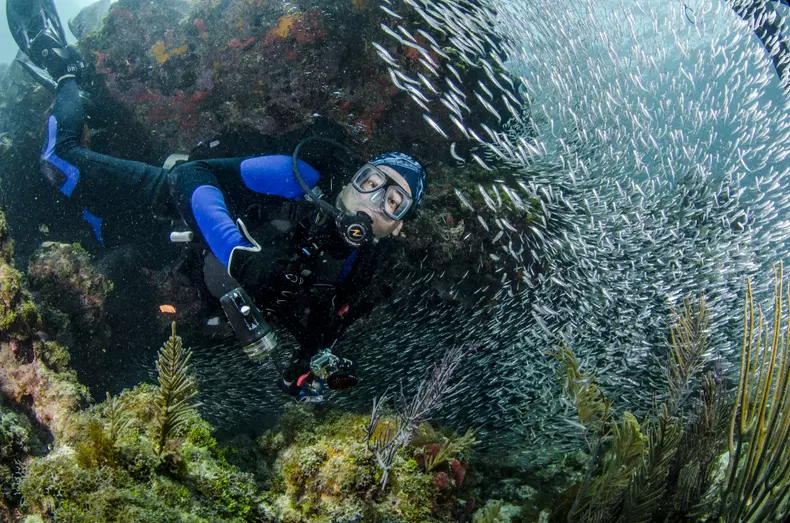 tk3s_bm_fish_01870042.jpg