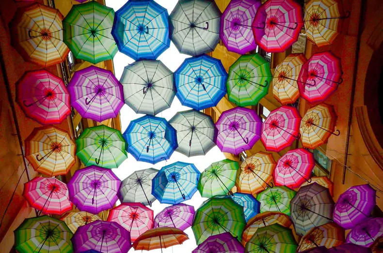 love is all we need expozitie 13