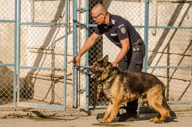 Mabanu Catalin Schipor (1)