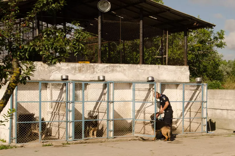 Mabanu Catalin Schipor (6)