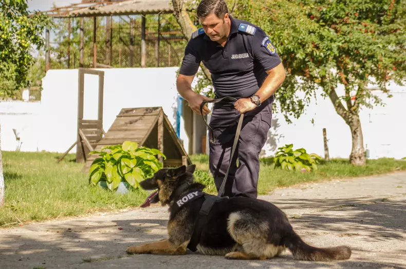 roby catalin schipor (2)