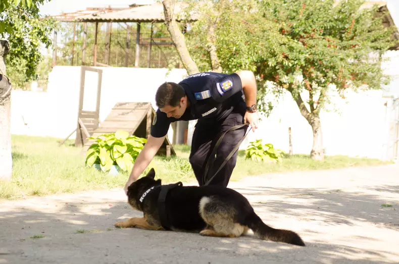 roby catalin schipor (3)