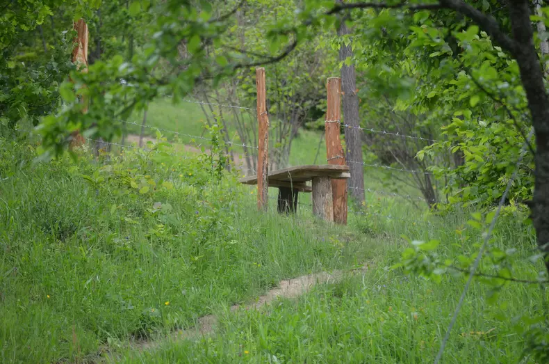 Drumul spre vârful Muncelu