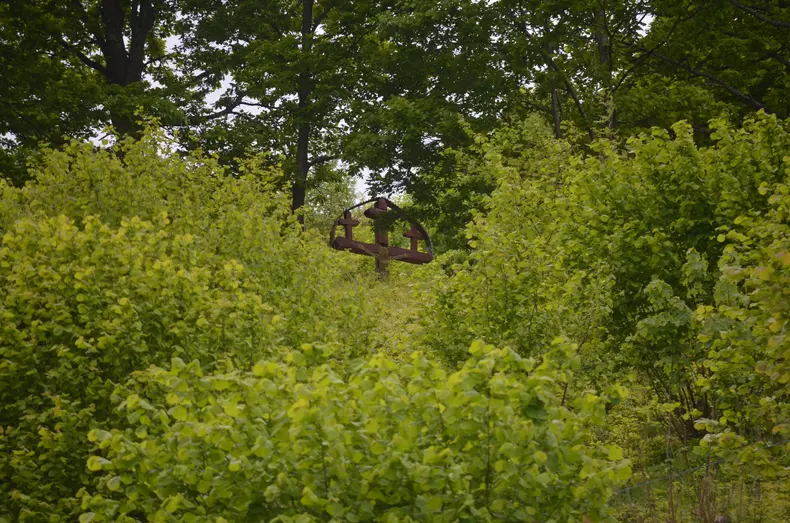 Drumul spre vârful Muncelu