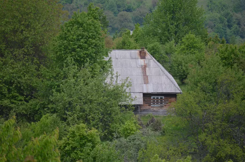 Drumul spre vârful Muncelu