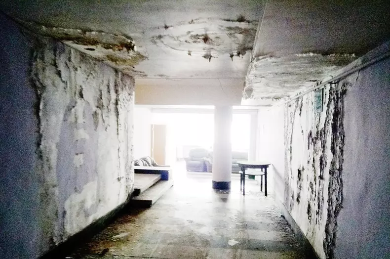 IMG_20180419_131148 hol et 1