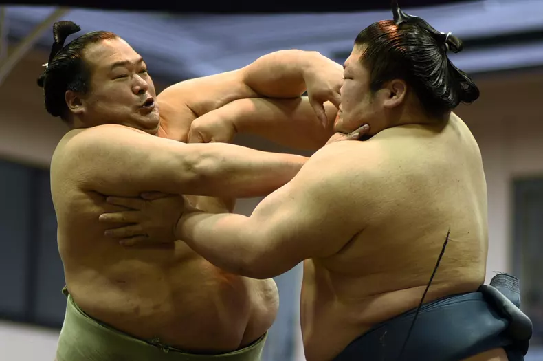 02-sumo-EPA.jpg