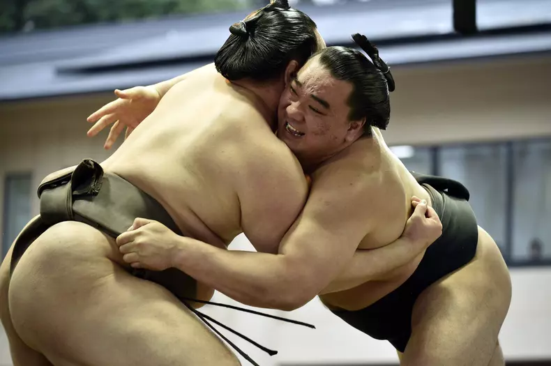 04-sumo-EPA.jpg