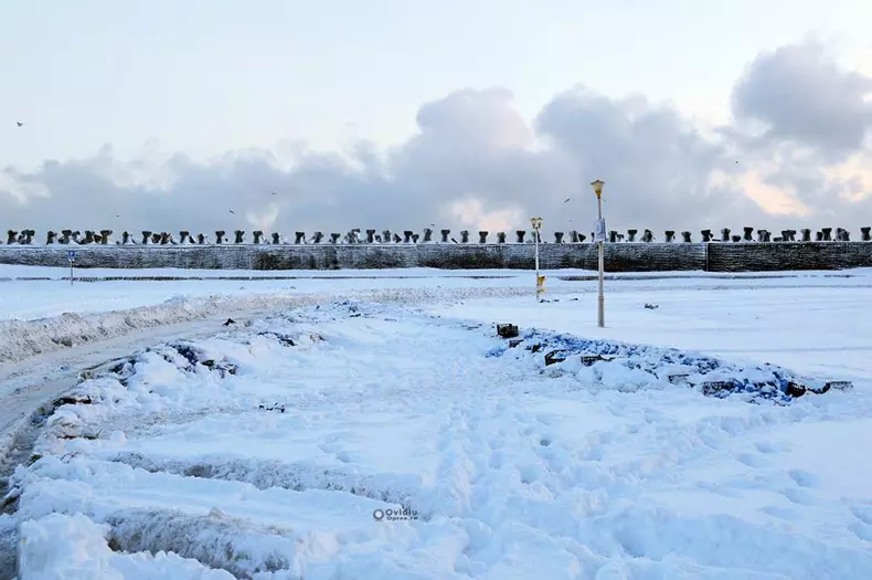 constanta agheasma inghetata (7)