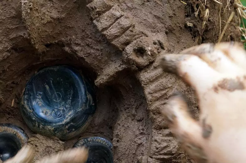 casa verde ileana mavrodin sursa foto facebook personal (1)