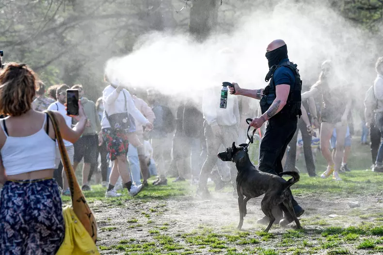 Belgia profimedia-0602821309