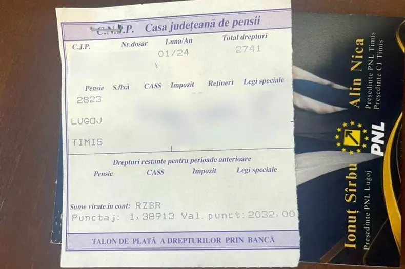 psd-pensii-pnl-timis-3-1