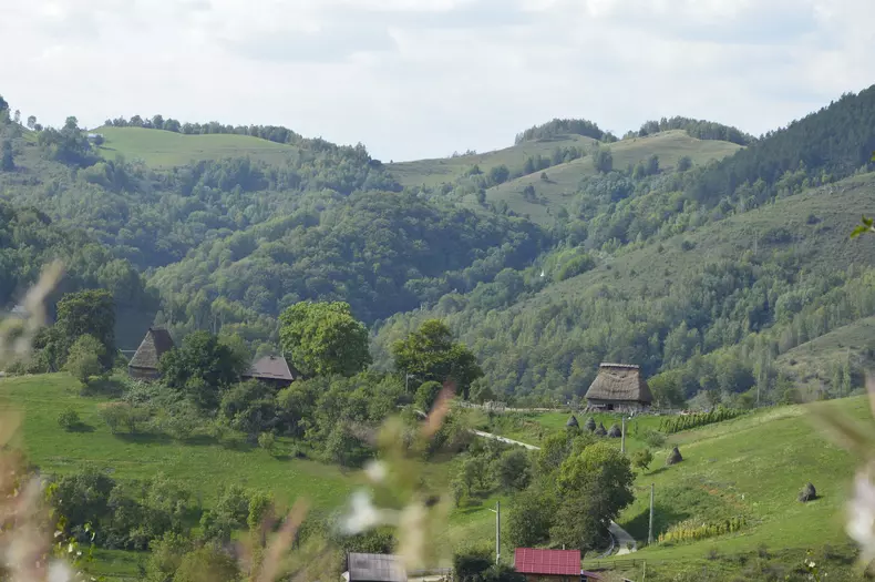 sura apuseni10