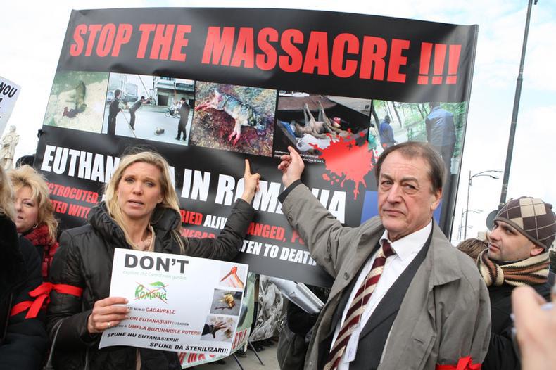 Maja_Hohenzollern_caini_eutanasiere_protest__4_.JPG