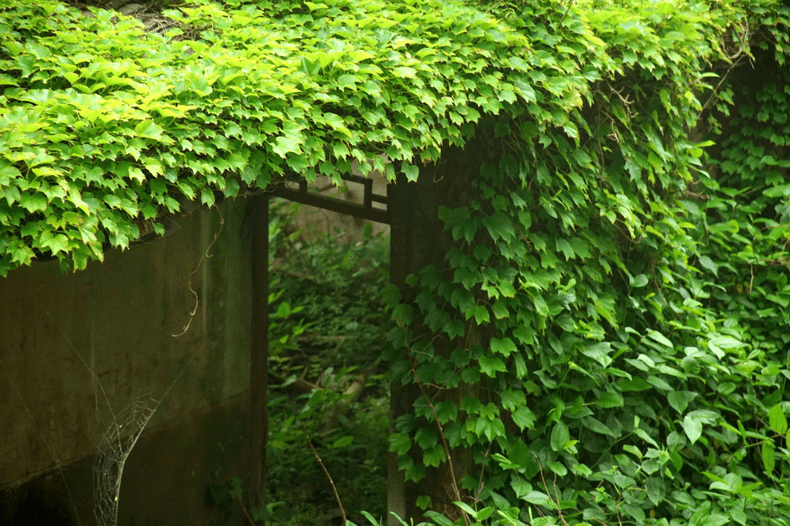 Satul pescăresc abandonat din China, situat pe insula Gouqi-6