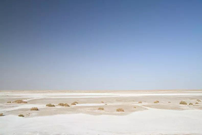 libertatea.Tunisia.3.07.2014.jpg