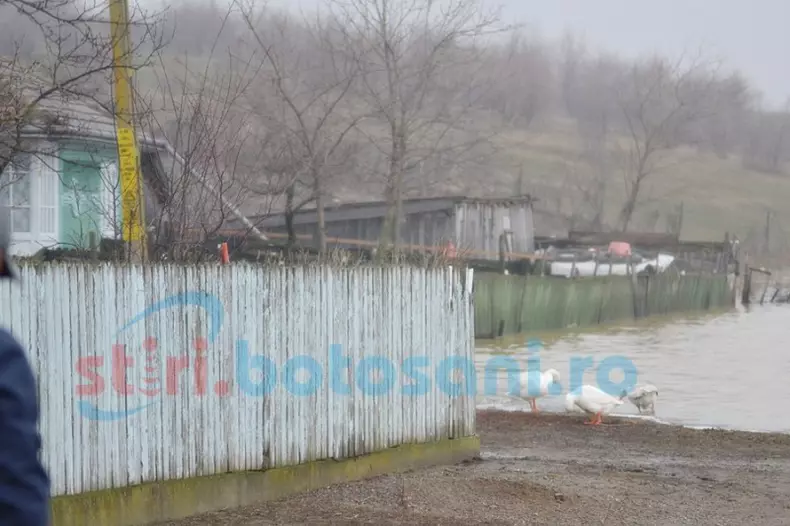 inundatii botosani_albesti (3)