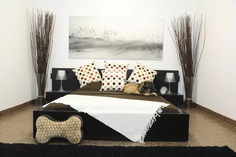 Hotel de lux pentru căței, în New York