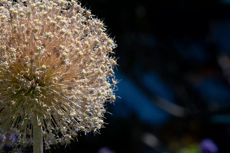 b_preps_2290_180629_iw