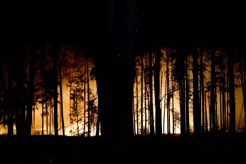 Forest fire leads to evacuation of villages in East Germany