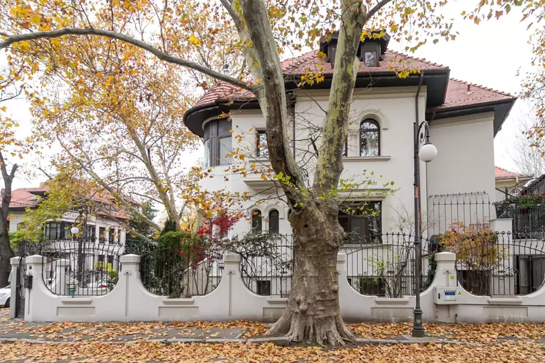 Vilă neobrâncovenească din Cotroceni, scoasă la vânzare de Artmark (15)