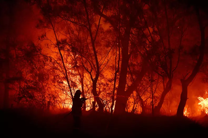 Australia, lovită de cele mai mari incendii de vegetație din istoria sa
